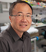 Jing Wang, PhD | University of California